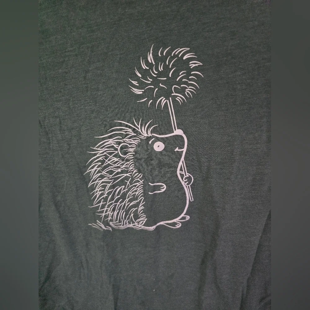 Shein Girls Hedgehog Green Casual Short Sleeve Tee Small